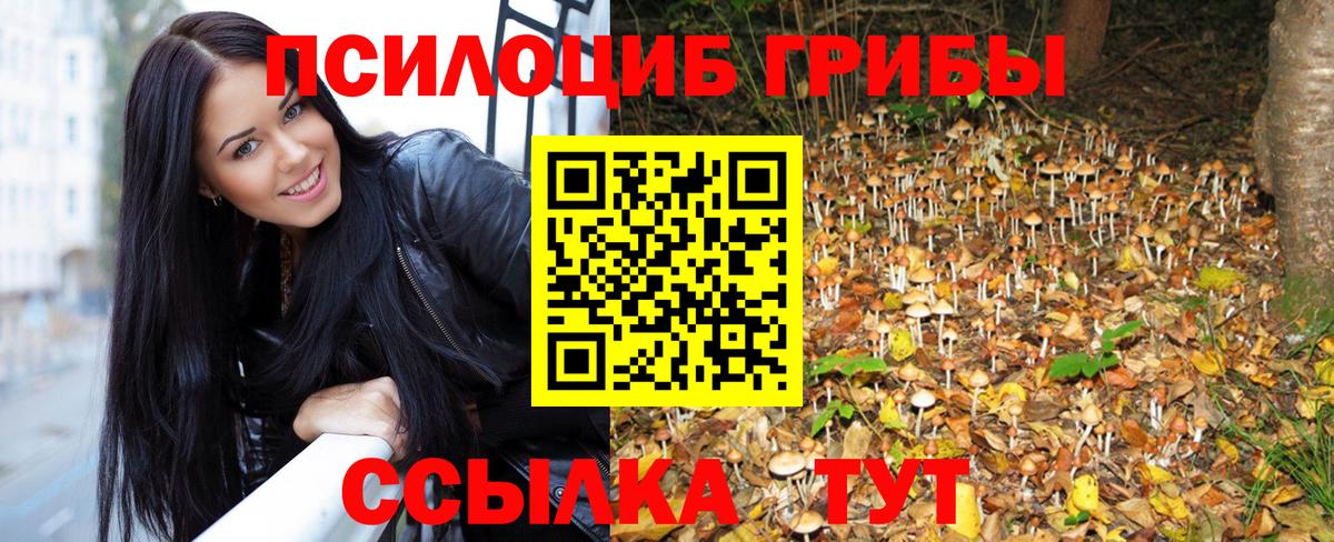 Галлюциногенные грибы Psilocybe  Псилоцибиновые грибы MAGIC MUSHROOMS  Краснотурьинск  Вход с VPN 