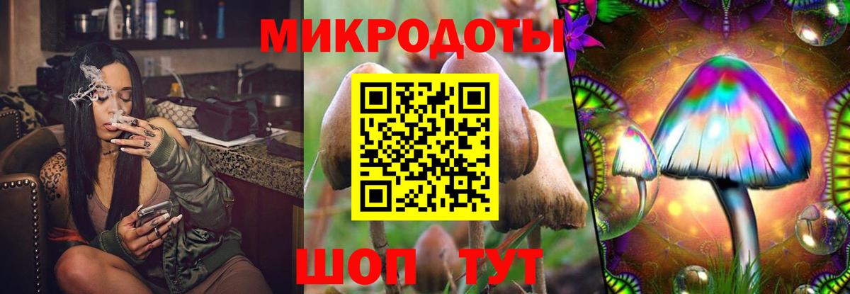 Псилоцибиновые грибы Psilocybe Краснотурьинск